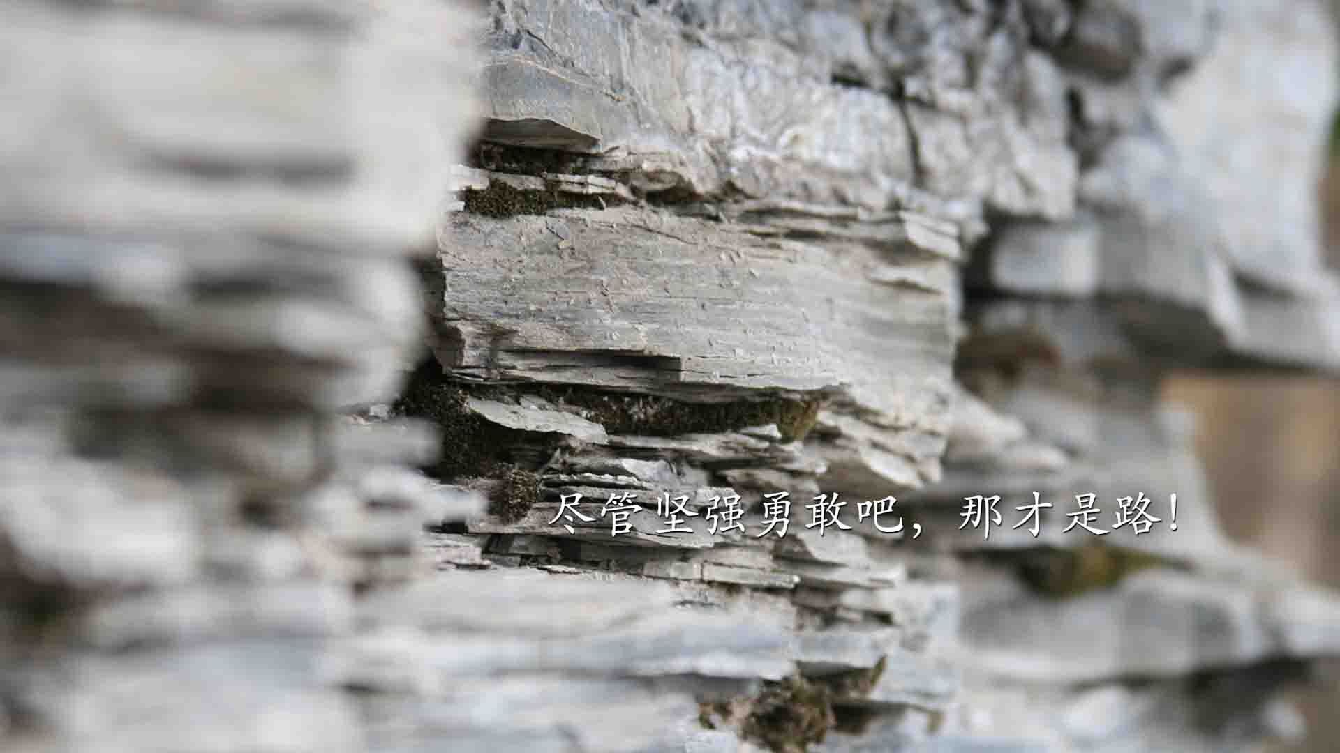 黄蜂新建训练馆启用太阳能供电系统，黄蜂部落体验馆加盟