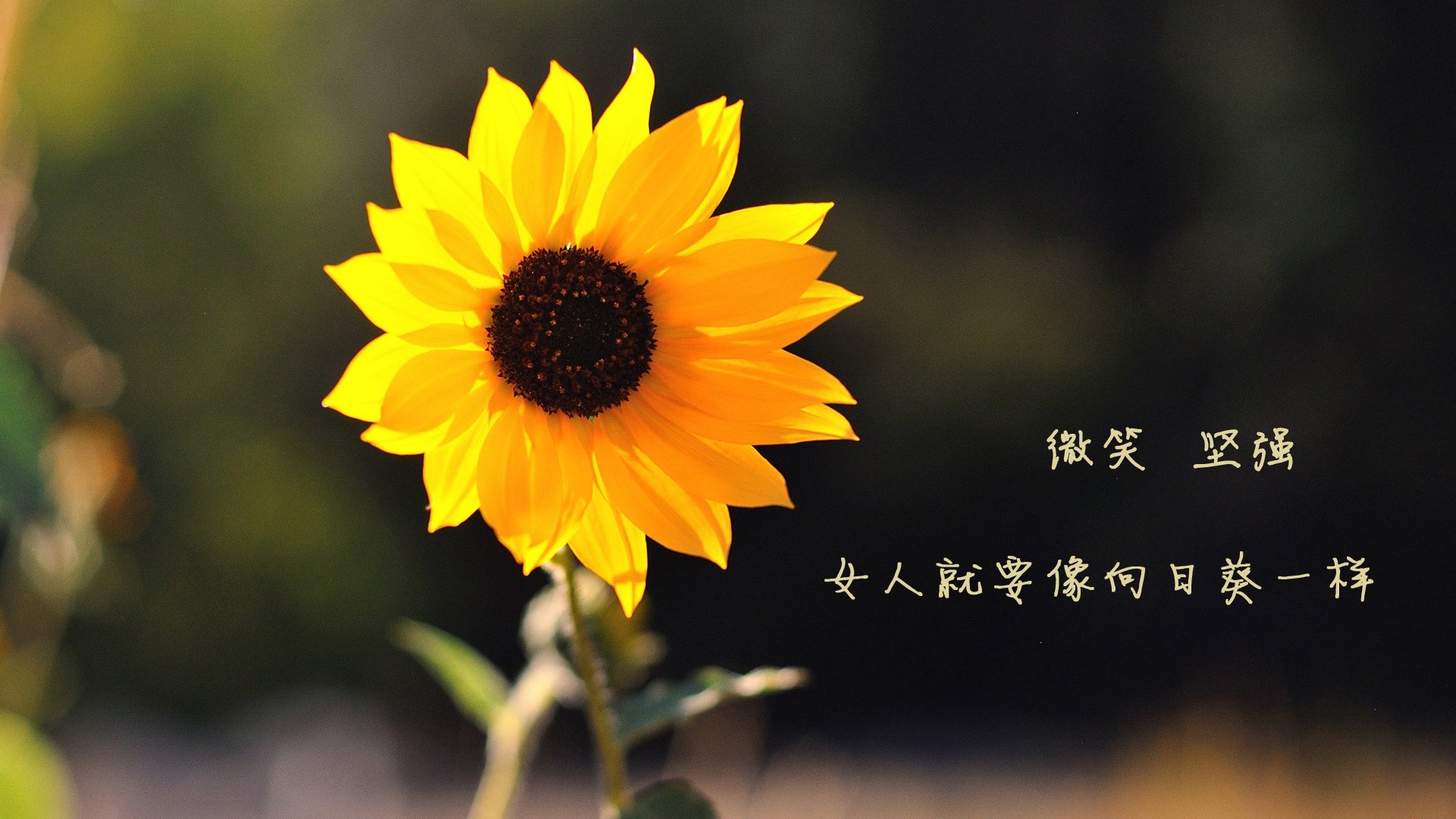 我国家乡男篮在国际邀请赛中获得佳绩，迈向全球舞台