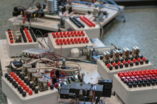 九游下载安装-数字化转型：青训系统中的大数据应用，数字化转型_青训系统中的大数据应用有哪些